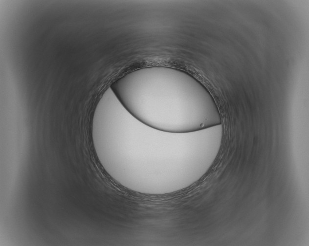 X0000113051153200908271049