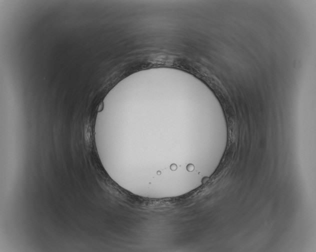 X0000113051154200908271049