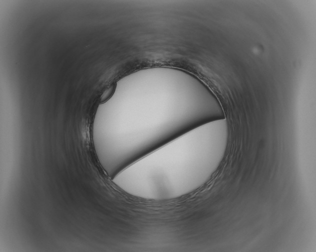 X0000113051155200908271049