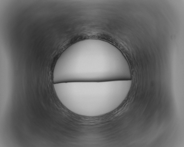 X0000113051156200908271049