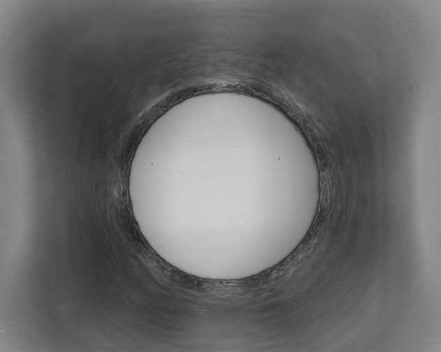 X0000113051158200908271049