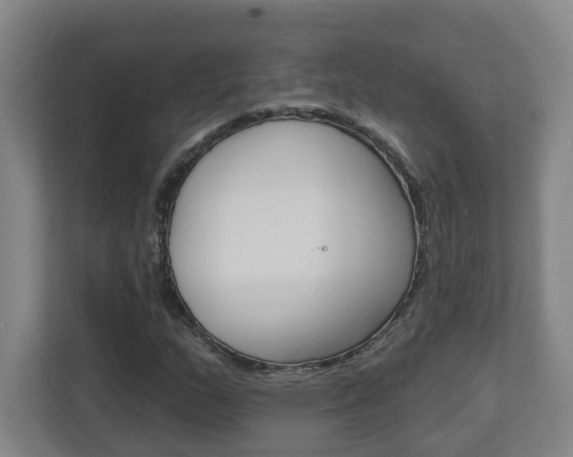 X0000113051159200908271049