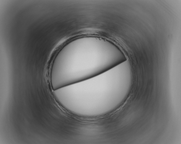 X0000113051164200908271049
