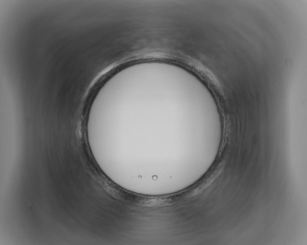 X0000113051166200908271049