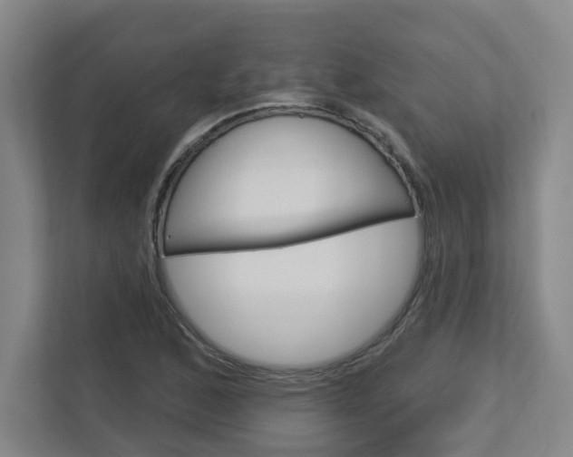X0000113051168200908271049