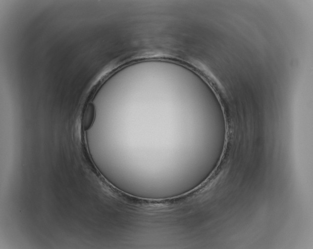 X0000113051173200908271049