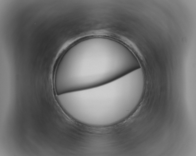 X0000113051176200908271048
