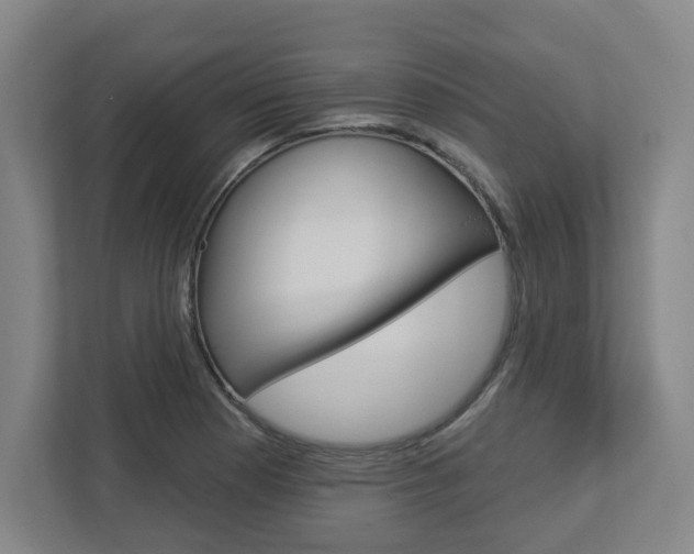 X0000113051177200908271048