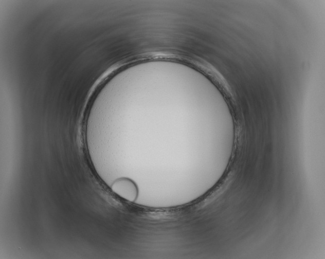 X0000113051182200908271048