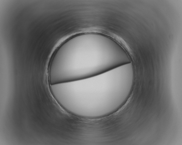 X0000113051184200908271048