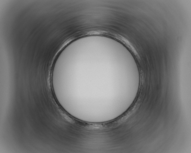 X0000113051186200908271048