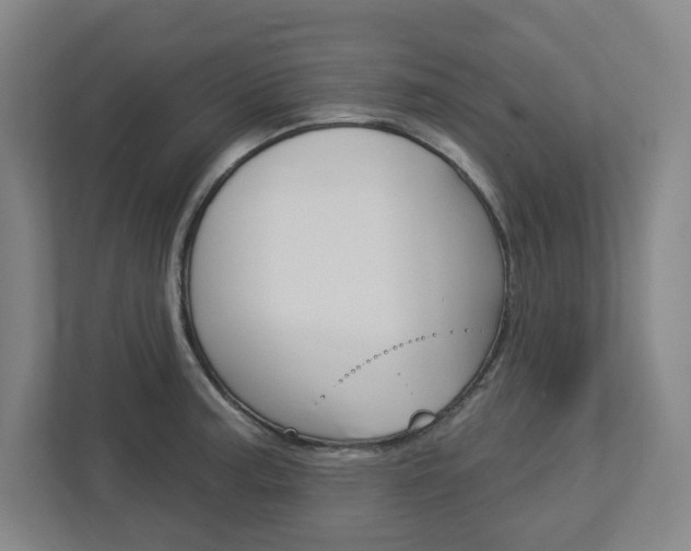 X0000113051187200908271048