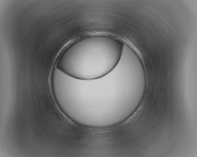 X0000113051189200908271048