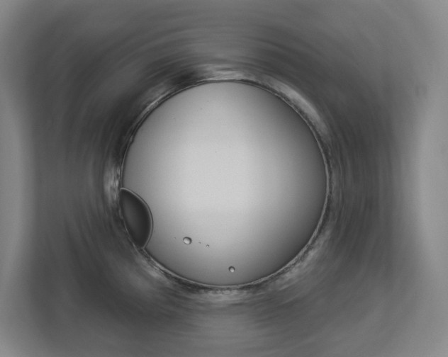 X0000113051193200908271048
