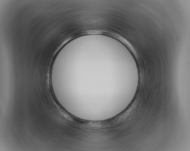 X0000113051194200908271048