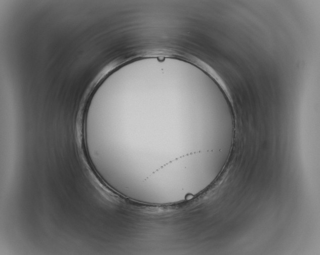 X0000113051195200908271048