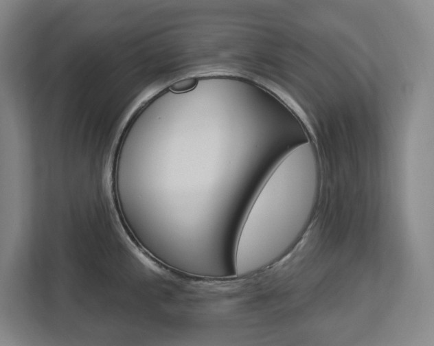 X0000113051197200908271048