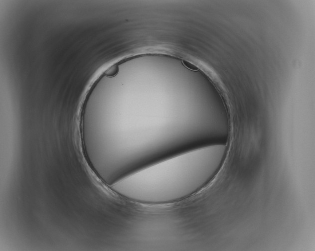 X0000113051200200908271048