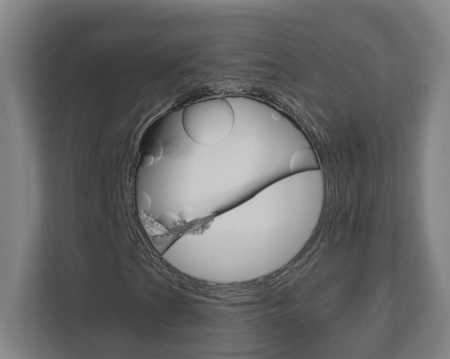 X0000113051201200908271048