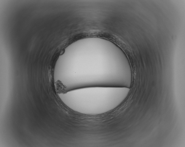 X0000113051204200908271048