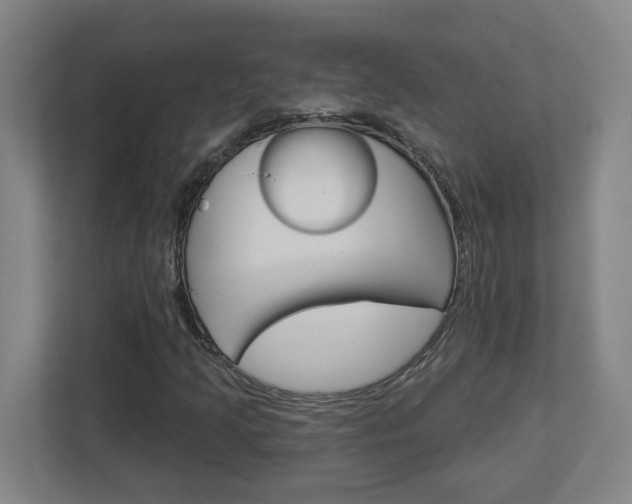 X0000113051205200908271048