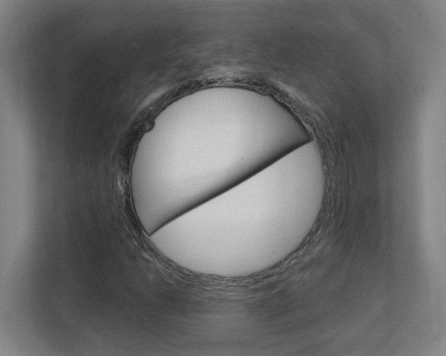 X0000113051206200908271048