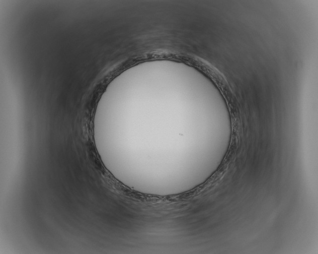 X0000113051207200908271048