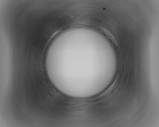X0000113051210200908271048