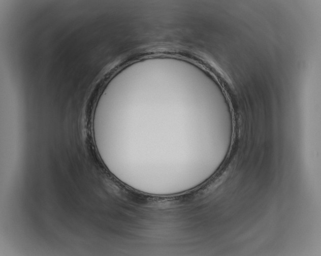 X0000113051213200908271048