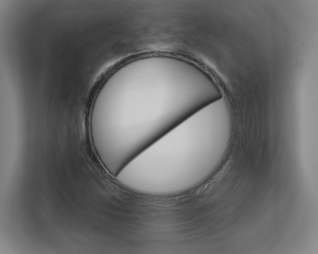 X0000113051214200908271048
