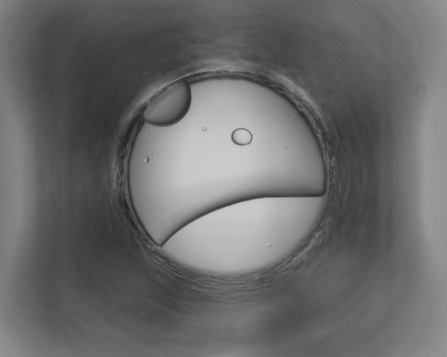 X0000113051215200908271048