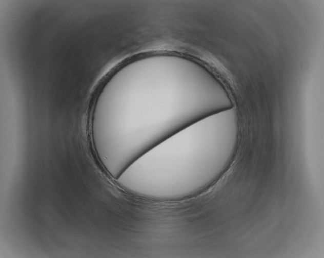 X0000113051216200908271048
