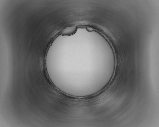 X0000113051217200908271048