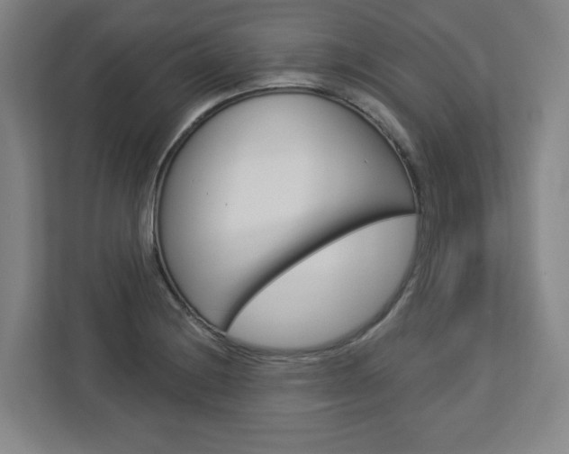 X0000113051228200908271048