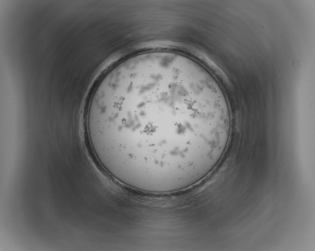 X0000113051229200908271048