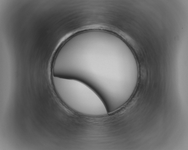 X0000113051230200908271048