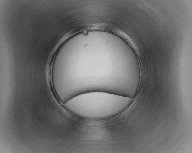 X0000113051235200908271048