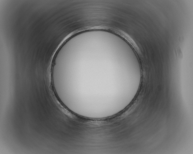 X0000113051236200908271048