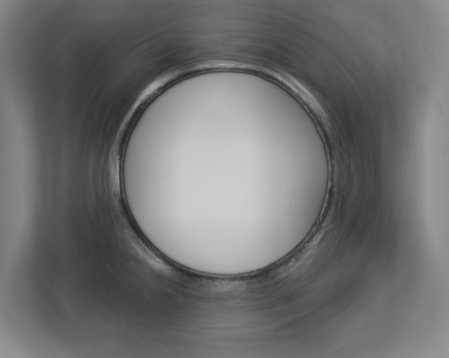 X0000113051238200908271048