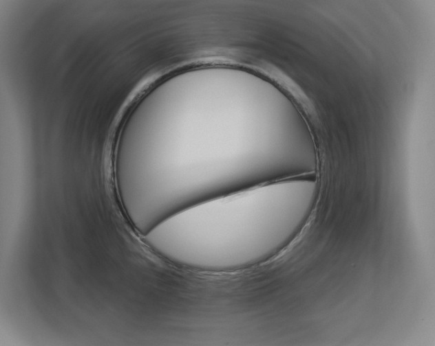 X0000113051240200908271048