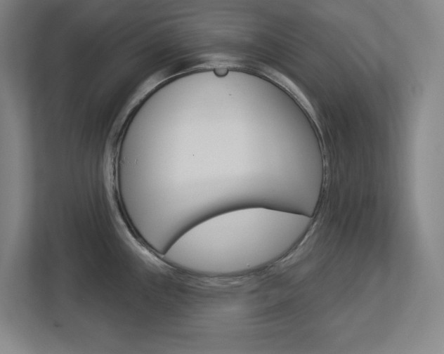 X0000113051243200908271048