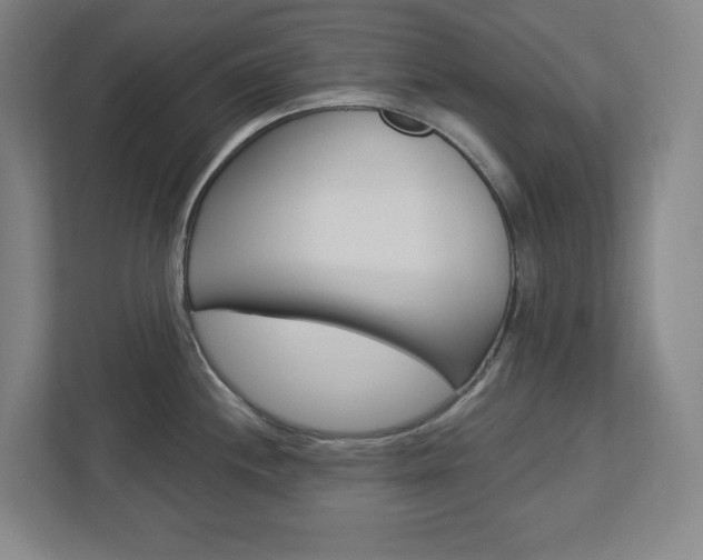 X0000113051244200908271048