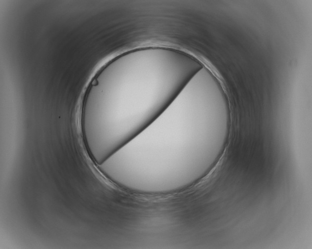X0000113051246200908271048