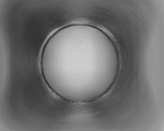 X0000113051248200908271048