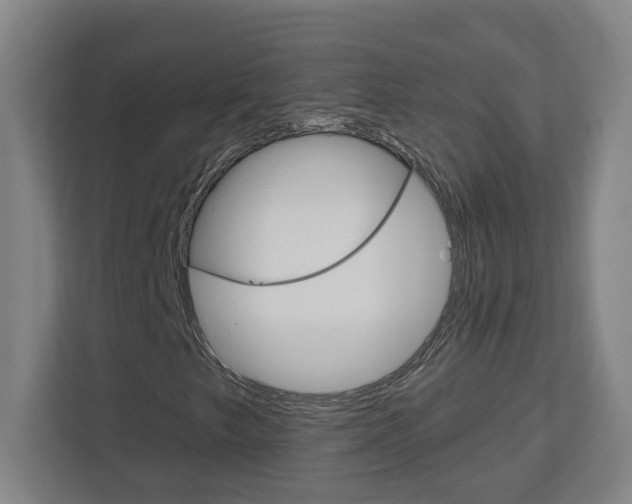 X0000113051249200908271048