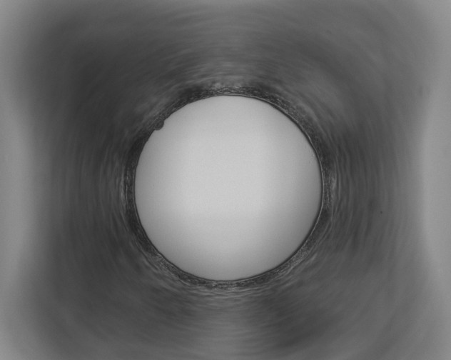 X0000113051250200908271048