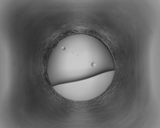 X0000113051253200908271047