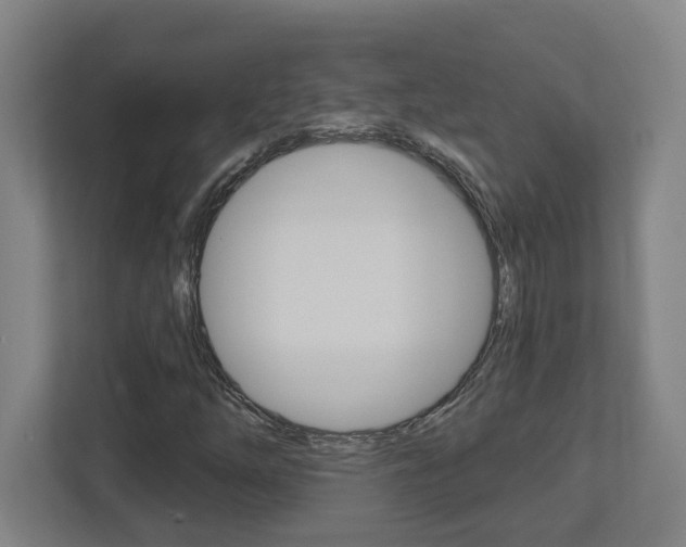 X0000113051254200908271047