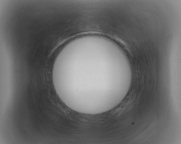 X0000113051255200908271047