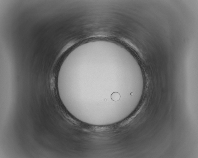 X0000113051258200908271047